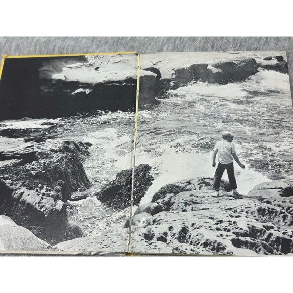 The Secret Society Of Super Villains Blue Ribbon Digest Vol 15 Paperback 1981 - Picture 8 of 8